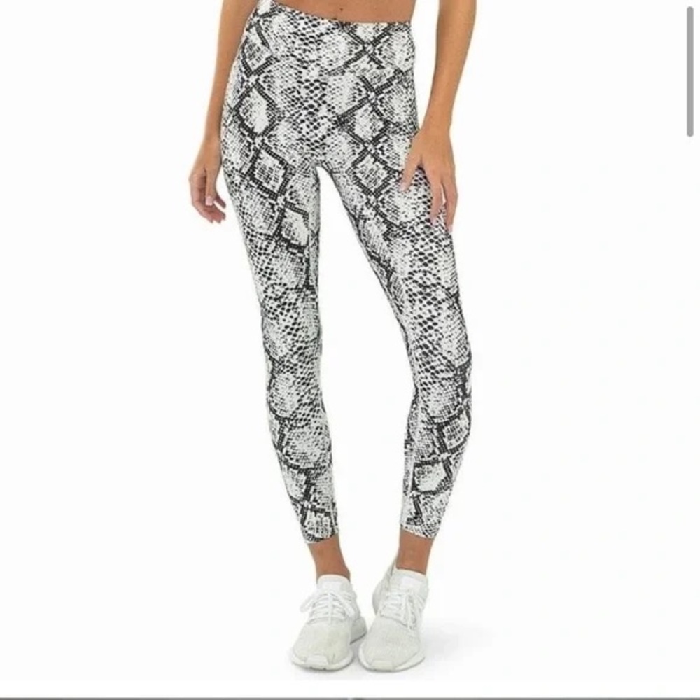 Balance Athletica Ascend Python Leggings
Kingdom Collection
